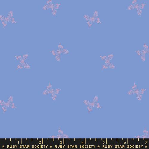 tiny butterflies on blue