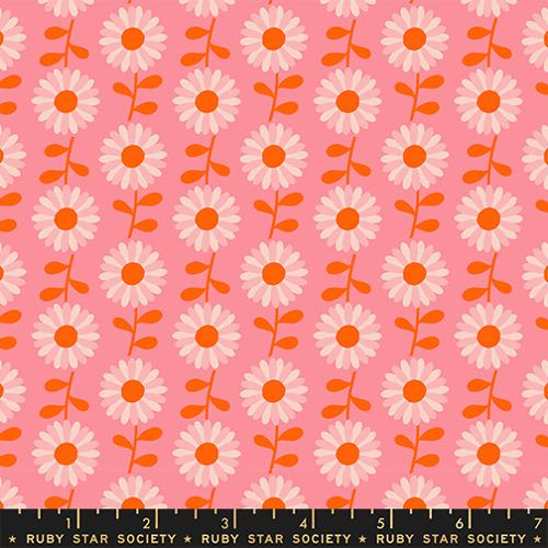 pink and orange flowers on pink