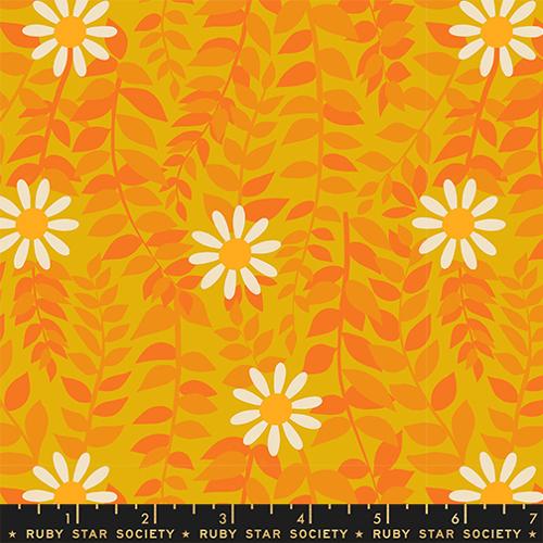 white flowers on orange