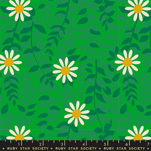 daisies on green