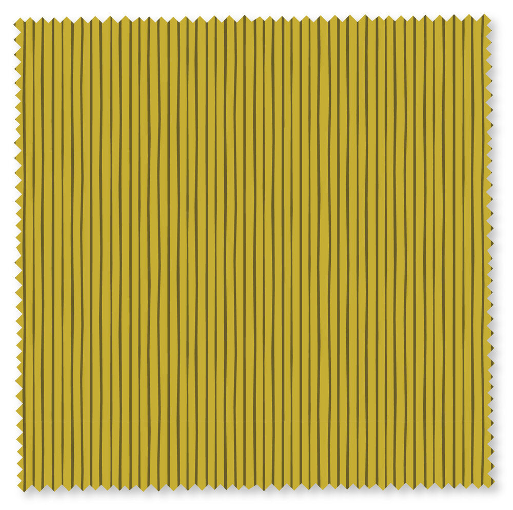 Felicity Basics - Rows (Pickle)
