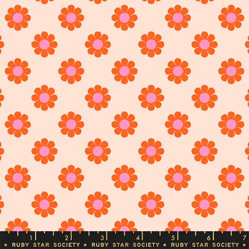 pink and orange daisy on peach
