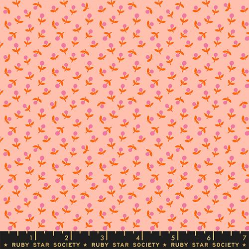 small pink and orange flowers on peach