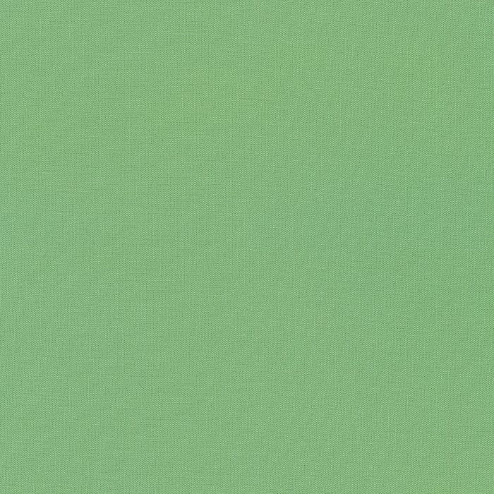 Kona Solids - Robert Kaufman