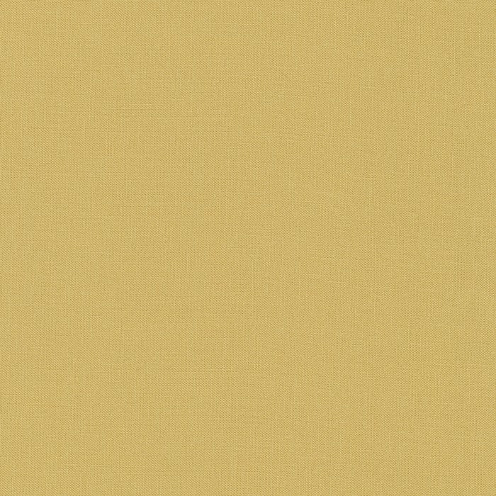 Kona Solids - Robert Kaufman