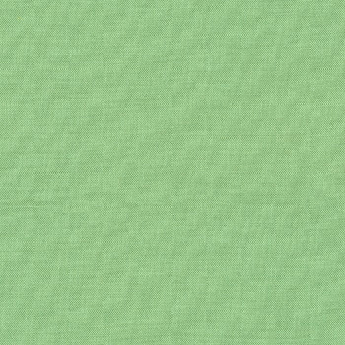 Kona Solids - Robert Kaufman