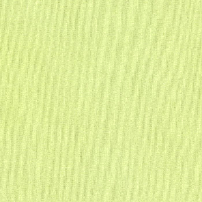 Kona Solids - Robert Kaufman