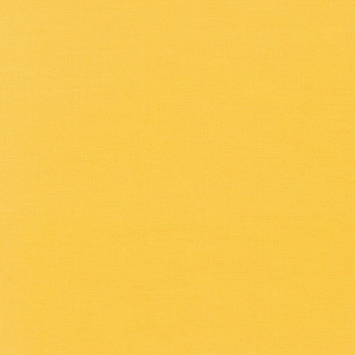 Kona Solids - Robert Kaufman