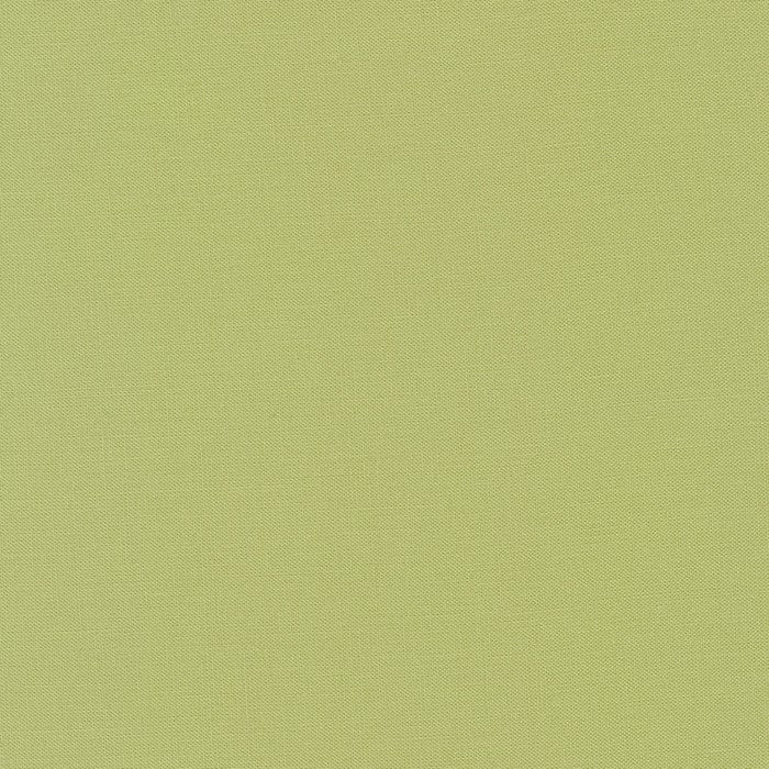 Kona Solids - Robert Kaufman