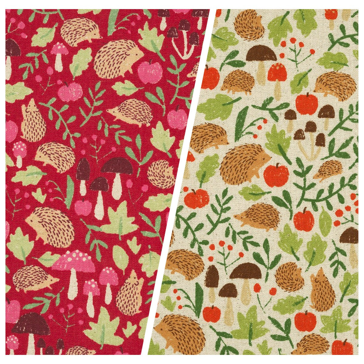 collage hedgehog and mushroom flora print on canvas