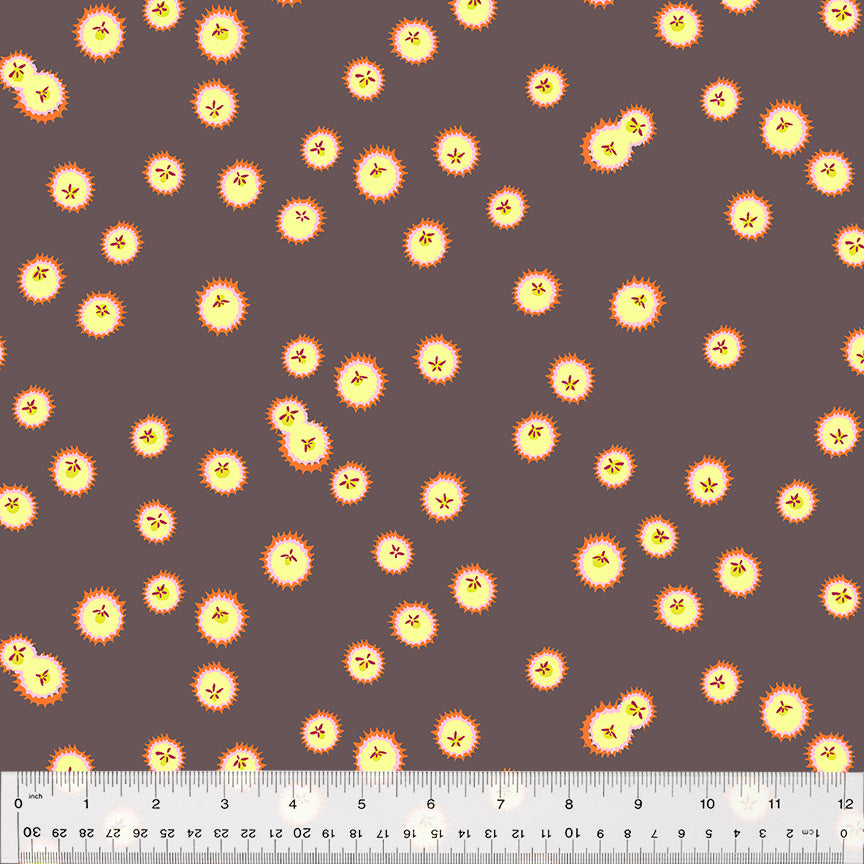 fireflies on plum