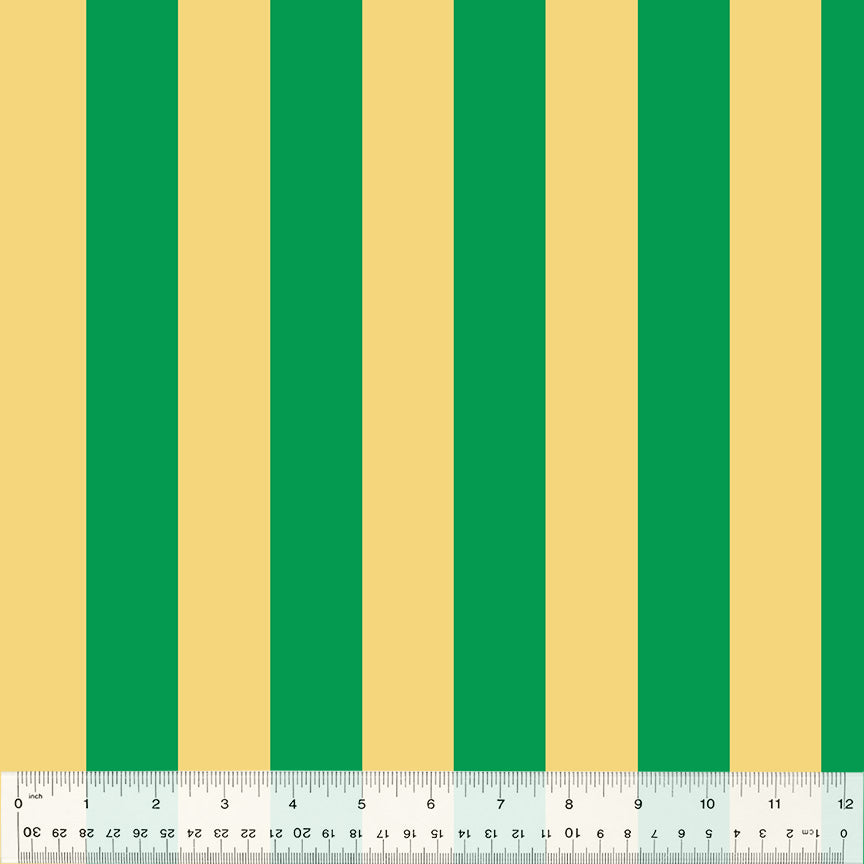 green and yellow broad stripes
