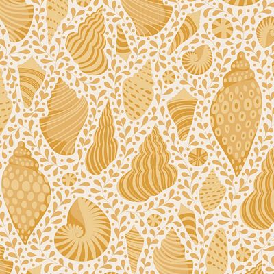 Cotton Beach Beach Shells - Honey