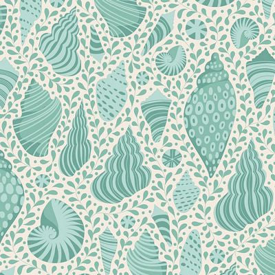 Cotton Beach Beach Shells - Teal