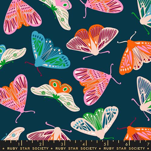 colorful butterflies on teal blue