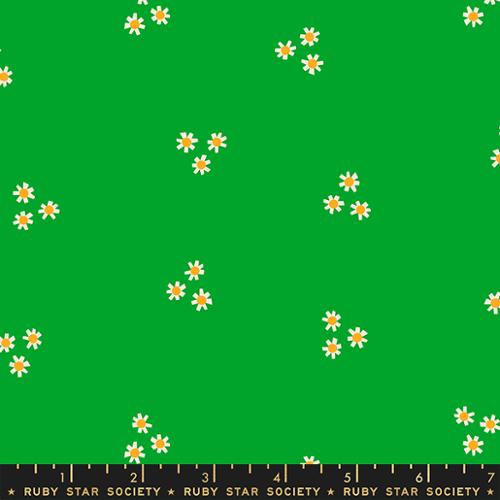 small daisies on green