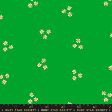 Load image into Gallery viewer, small daisies on green