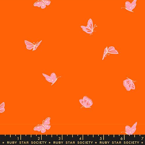 small butterflies on orange