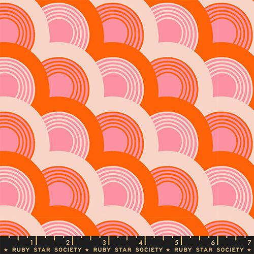 scallop fans pink and orange