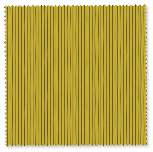 Felicity Basics - Rows (Pickle)