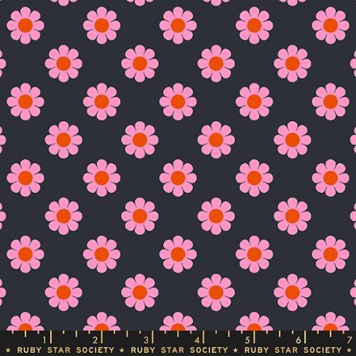 pink and orange daisies on soft black