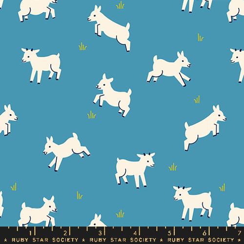 white baby goats on blue background