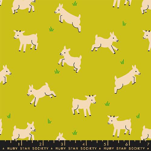 white baby goats on pistachio green background