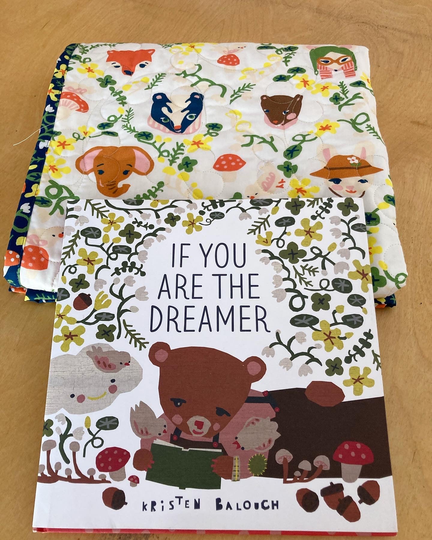 Children's book titled 'If You Are the Dreamer' by Kristen Balogh with a colorful bear illustration on a wooden surface.