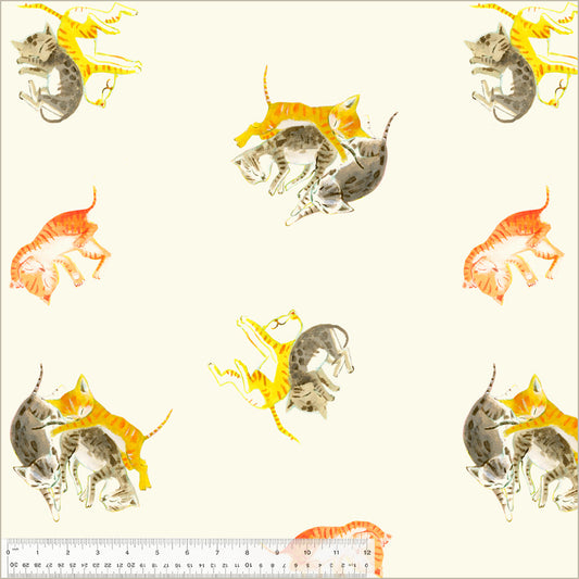barn kittens, tumbling on white background. kittens are either yellow, orange or grey.