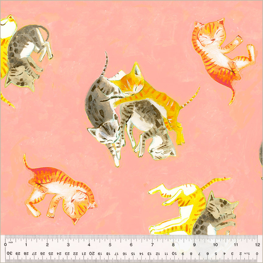 barn kittens, tumbling on pink salmon background. kittens are either orange yellow or gray.