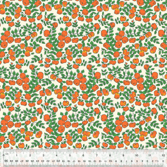 orange red apples against a white background with green leaves
