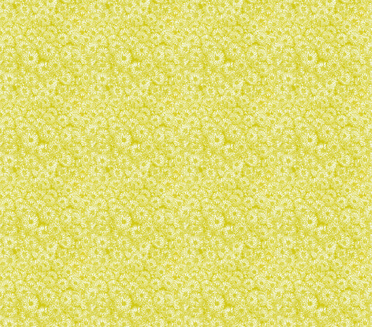 yellow and white outlined cornflower, all you can see are flowers from an aerial view, like a busy field full of flowers and nothing else. 