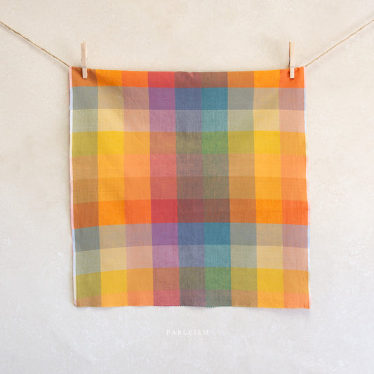 Multicolored checkered towel hanging on a line against a white background