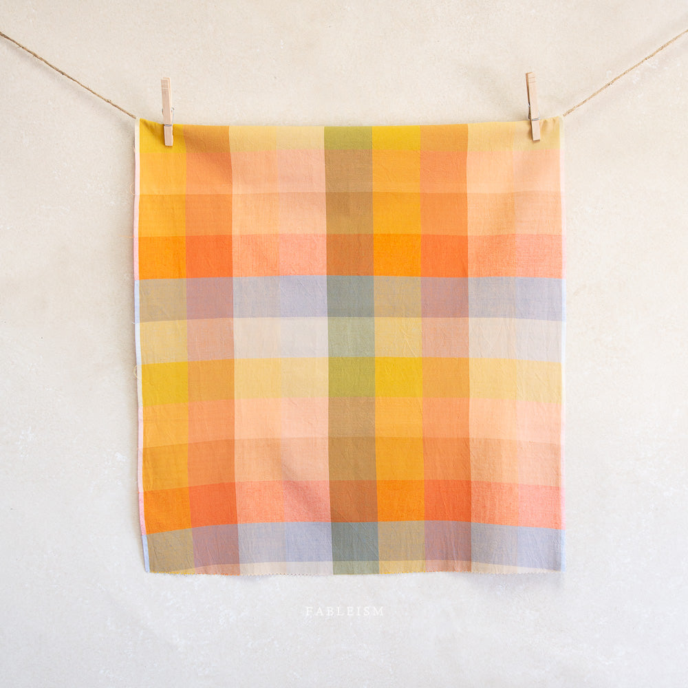 Plaid towel with autumn colors hanging on a line against a white background