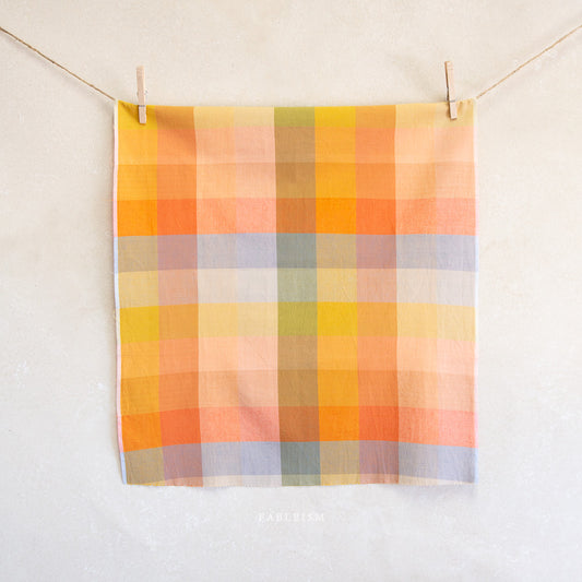 Plaid towel with autumn colors hanging on a line against a white background