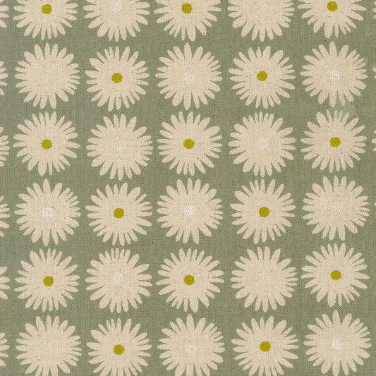 White daisies against a grey background