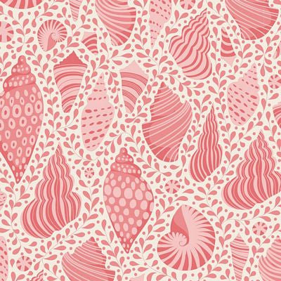 Cotton Beach Beach Shells - Coral