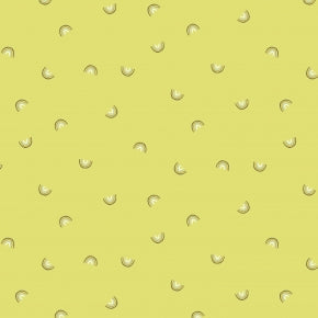 Citrona - Always Look For Rainbows - Cotton + Steel Fabrics -  half yard quilting cotton