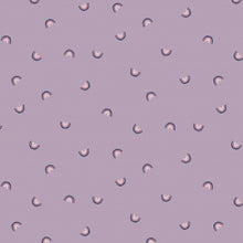 Load image into Gallery viewer, Haze - Always Look For Rainbows - Cotton + Steel Fabrics -  half yard quilting cotton